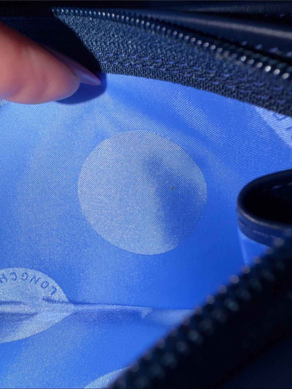 Blue Striped Longchamp Wallet - Picture 8 of 8